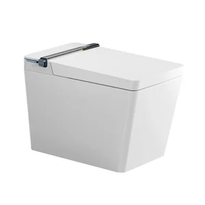 Bồn cầu thông minh Belli HL9B38