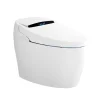 Bồn cầu thông minh Belli HL9B599
