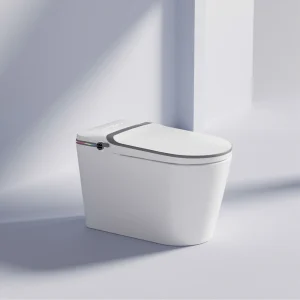 Bồn cầu thông minh Belli HL9B721