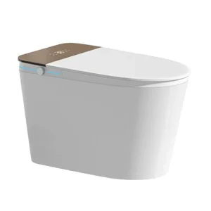 Bồn cầu thông minh Belli HL9L8