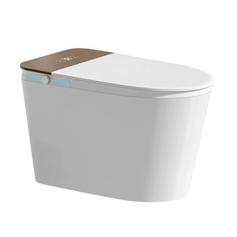 Bồn cầu thông minh Belli HL9L8