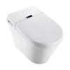 Bồn cầu thông minh Bravat C21323W-3-ENG
