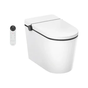 Bồn cầu thông minh Hansgrohe 22455007