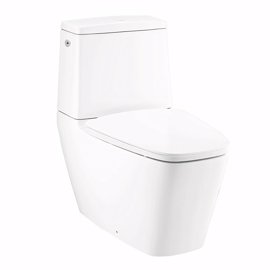 Bồn cầu xả không chạm Cotto C135137